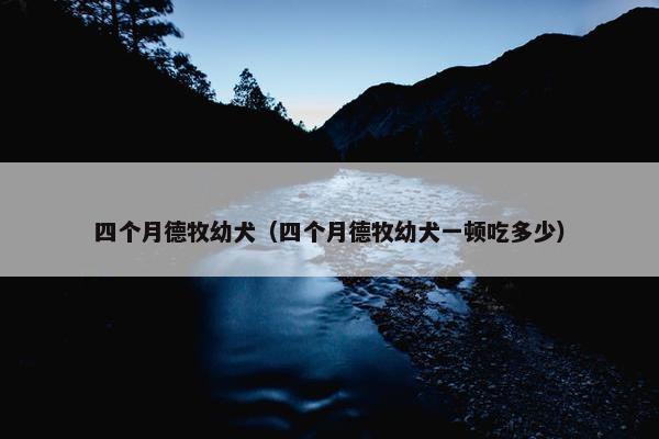 四个月德牧幼犬（四个月德牧幼犬一顿吃多少）