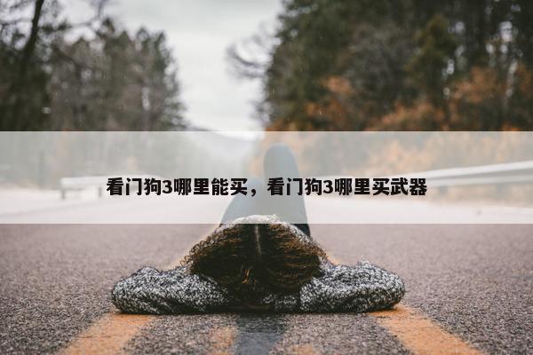 看门狗3哪里能买，看门狗3哪里买武器