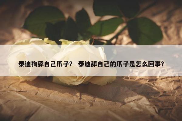 泰迪狗舔自己爪子？ 泰迪舔自己的爪子是怎么回事？