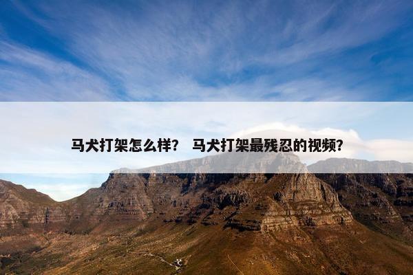 马犬打架怎么样？ 马犬打架最残忍的视频？