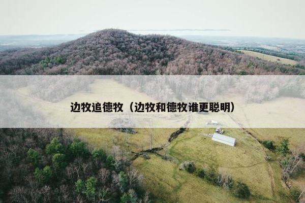 边牧追德牧（边牧和德牧谁更聪明）