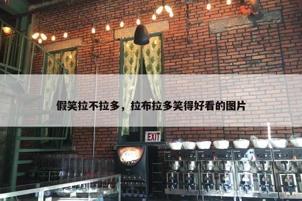 假笑拉不拉多，拉布拉多笑得好看的图片