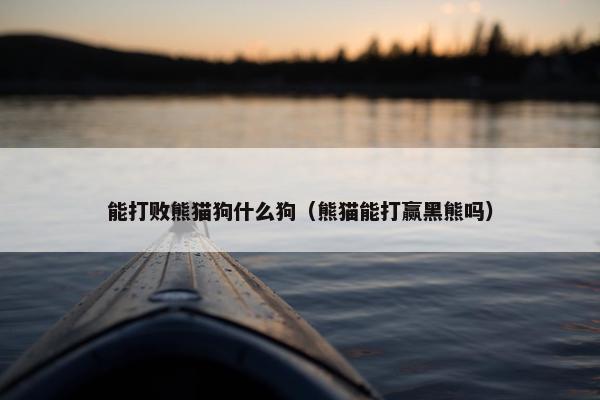 能打败熊猫狗什么狗（熊猫能打赢黑熊吗）