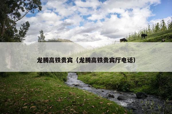 龙腾高铁贵宾（龙腾高铁贵宾厅电话）