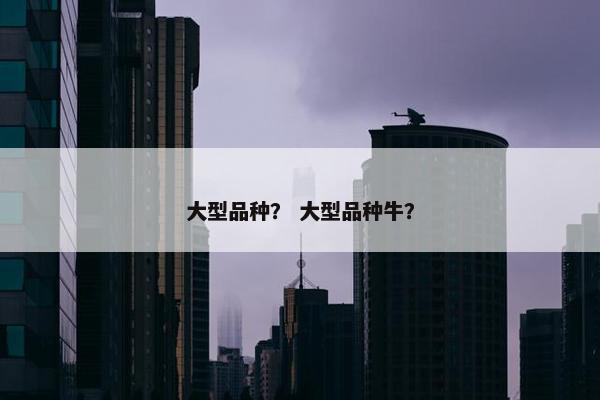 大型品种？ 大型品种牛？
