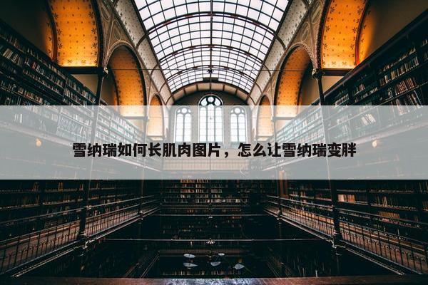 雪纳瑞如何长肌肉图片，怎么让雪纳瑞变胖
