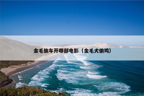 金毛偷车开哪部电影（金毛犬偷鸡）