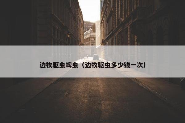 边牧驱虫蜱虫（边牧驱虫多少钱一次）