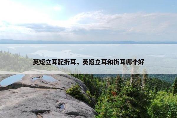 英短立耳配折耳，英短立耳和折耳哪个好