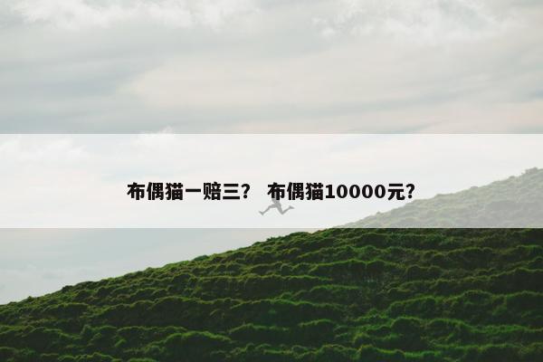 布偶猫一赔三？ 布偶猫10000元？