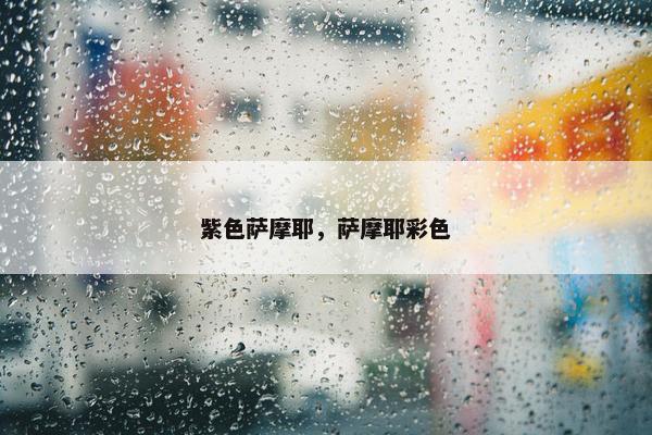 紫色萨摩耶，萨摩耶彩色