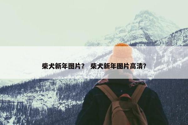 柴犬新年图片？ 柴犬新年图片高清？