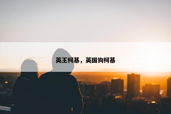 英王柯基，英国狗柯基
