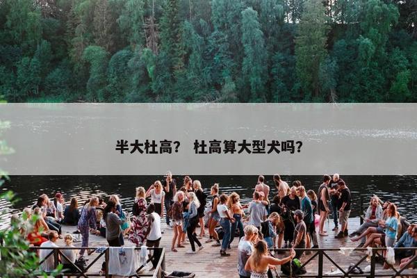 半大杜高？ 杜高算大型犬吗？