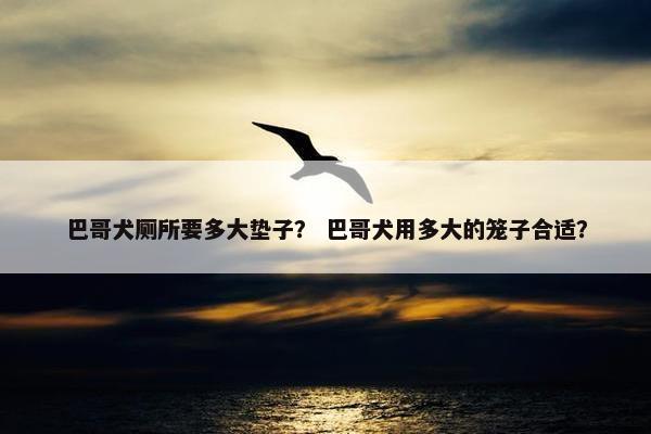 巴哥犬厕所要多大垫子？ 巴哥犬用多大的笼子合适？