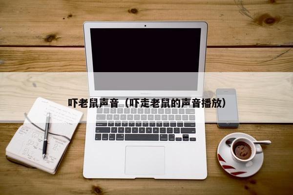 吓老鼠声音（吓走老鼠的声音播放）