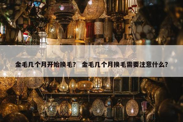 金毛几个月开始换毛？ 金毛几个月换毛需要注意什么？