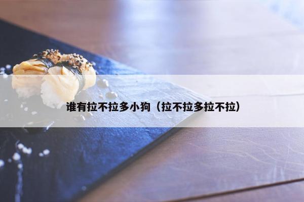 谁有拉不拉多小狗（拉不拉多拉不拉）