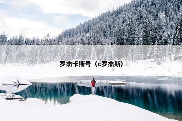 罗杰卡斯号（c罗杰斯）