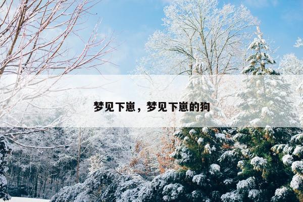 梦见下崽，梦见下崽的狗