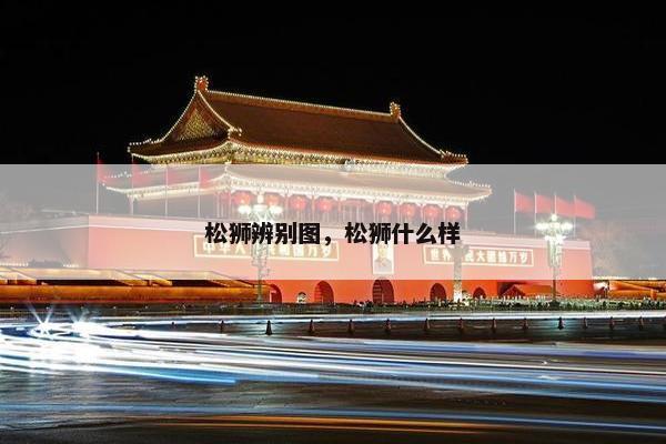 松狮辨别图，松狮什么样
