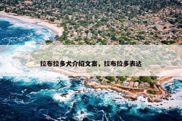 拉布拉多犬介绍文案，拉布拉多表达