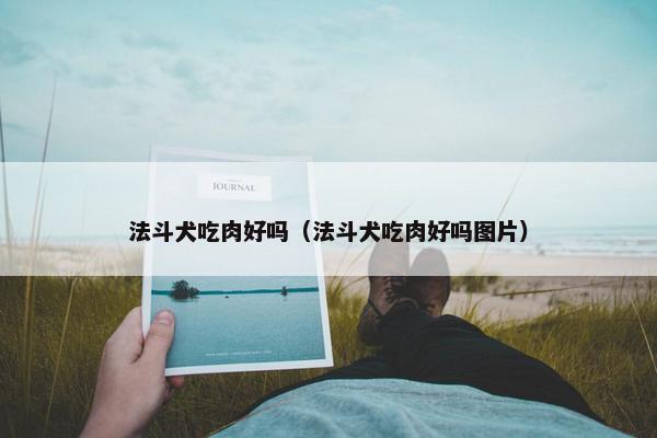 法斗犬吃肉好吗（法斗犬吃肉好吗图片）