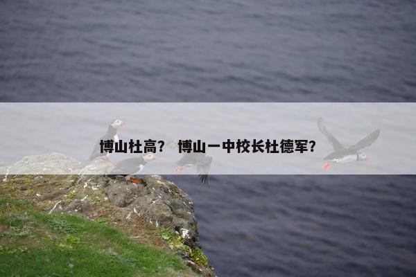 博山杜高？ 博山一中校长杜德军？