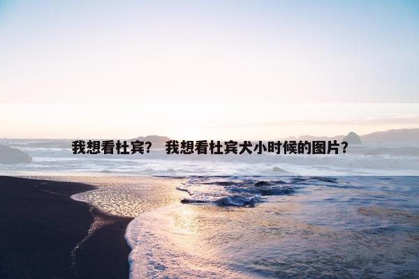 我想看杜宾？ 我想看杜宾犬小时候的图片？