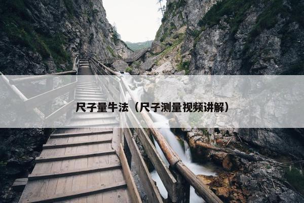尺子量牛法（尺子测量视频讲解）