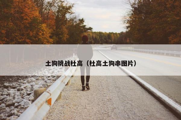 土狗挑战杜高（杜高土狗串图片）