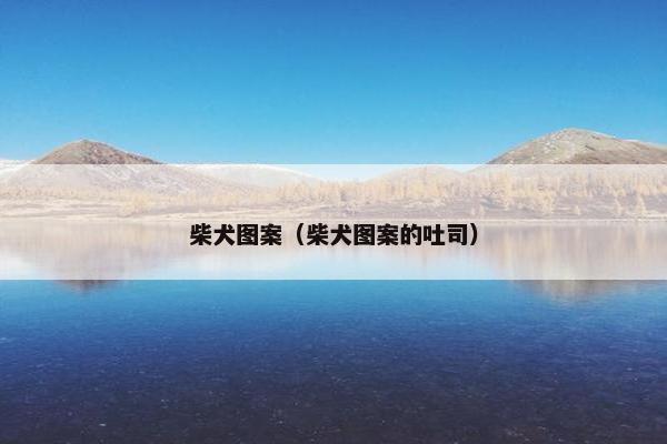 柴犬图案（柴犬图案的吐司）