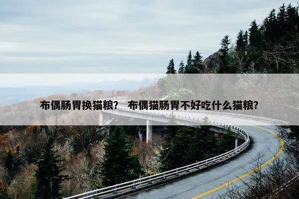 布偶肠胃换猫粮？ 布偶猫肠胃不好吃什么猫粮？