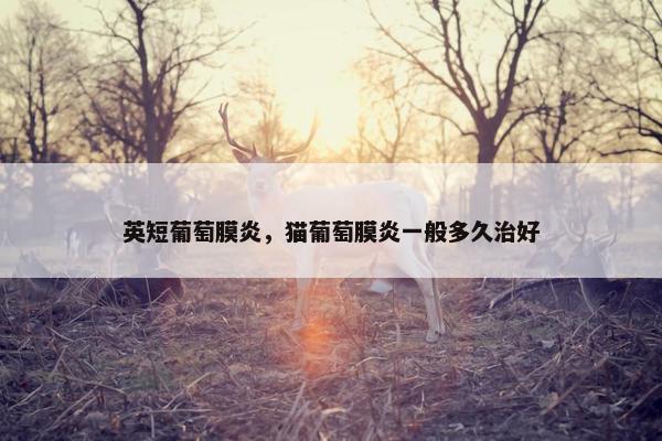 英短葡萄膜炎，猫葡萄膜炎一般多久治好