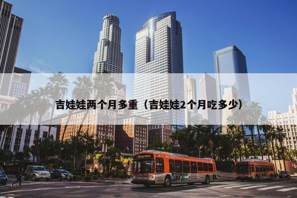 吉娃娃两个月多重（吉娃娃2个月吃多少）