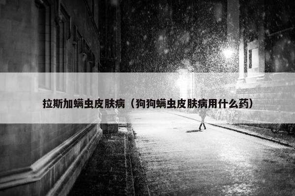 拉斯加螨虫皮肤病（狗狗螨虫皮肤病用什么药）