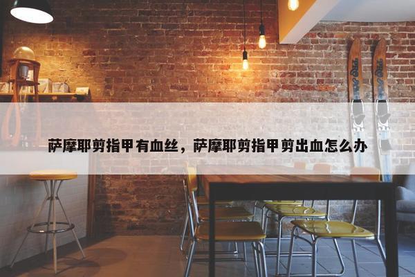 萨摩耶剪指甲有血丝，萨摩耶剪指甲剪出血怎么办