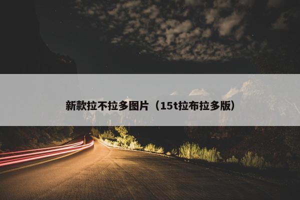 新款拉不拉多图片（15t拉布拉多版）