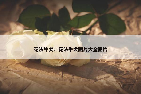 花法牛犬，花法牛犬图片大全图片