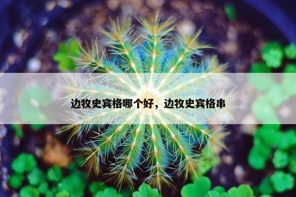边牧史宾格哪个好，边牧史宾格串