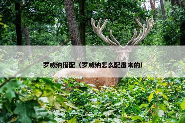 罗威纳借配（罗威纳怎么配出来的）
