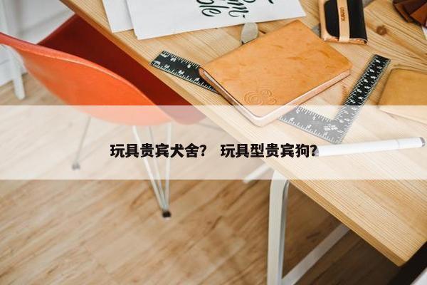 玩具贵宾犬舍？ 玩具型贵宾狗？