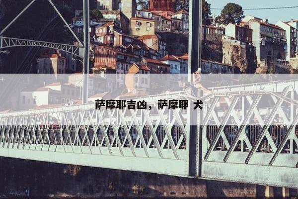 萨摩耶吉凶，萨摩耶 犬