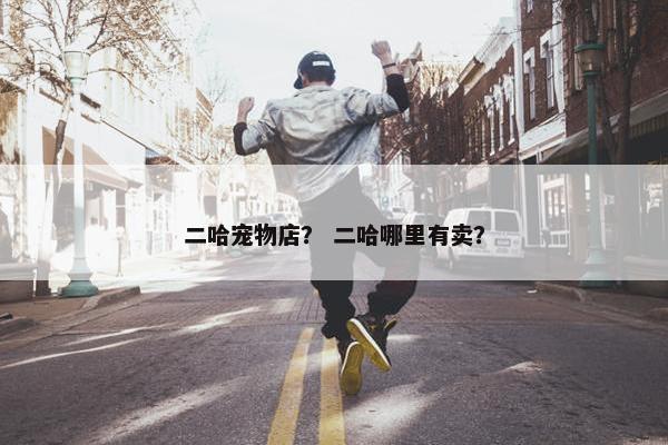 二哈宠物店？ 二哈哪里有卖？