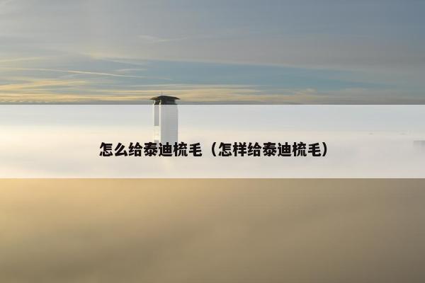 怎么给泰迪梳毛（怎样给泰迪梳毛）