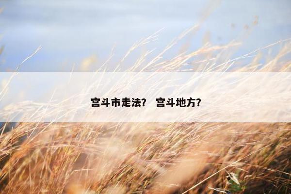 宫斗市走法？ 宫斗地方？