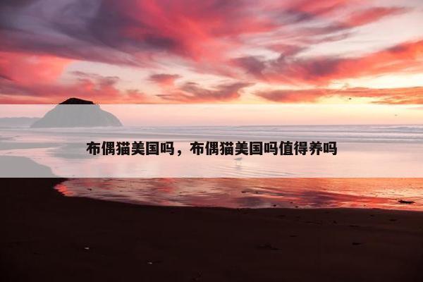 布偶猫美国吗，布偶猫美国吗值得养吗