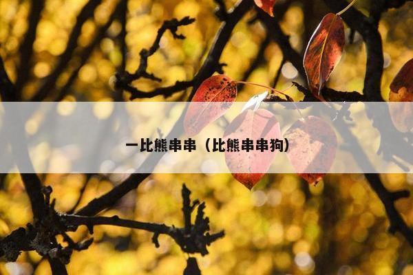 一比熊串串（比熊串串狗）