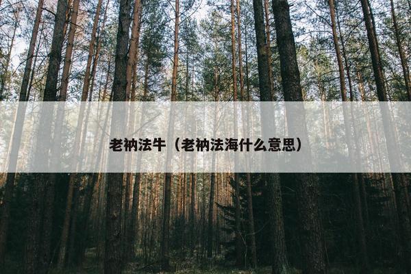 老衲法牛（老衲法海什么意思）