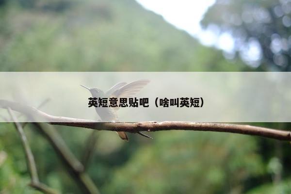 英短意思贴吧（啥叫英短）